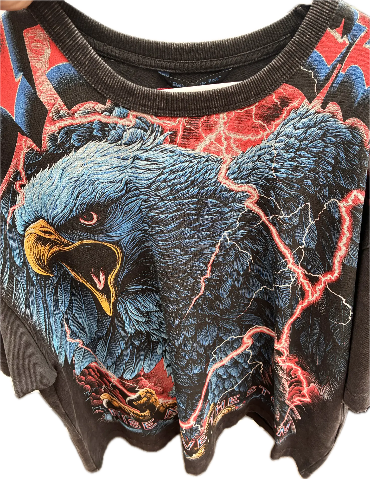 Rise Above The Storm Eagle Sweatshirt